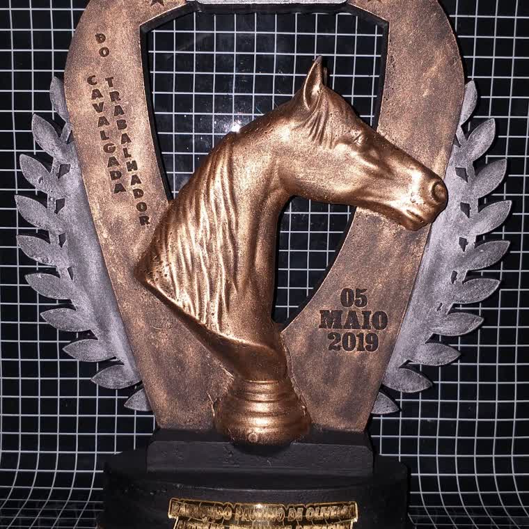 Troféu cavalo em resina — troféu em resina produzido pela M Brace