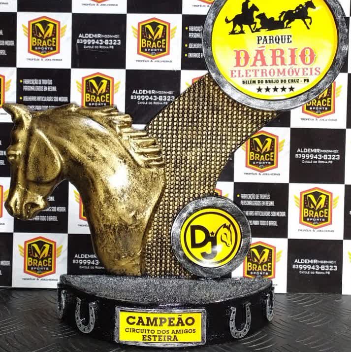 Troféu cavalo Parque Dário — troféu em resina produzido pela M Brace