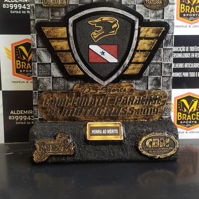 Brasão institucional em resina — troféu em resina produzido pela M Brace